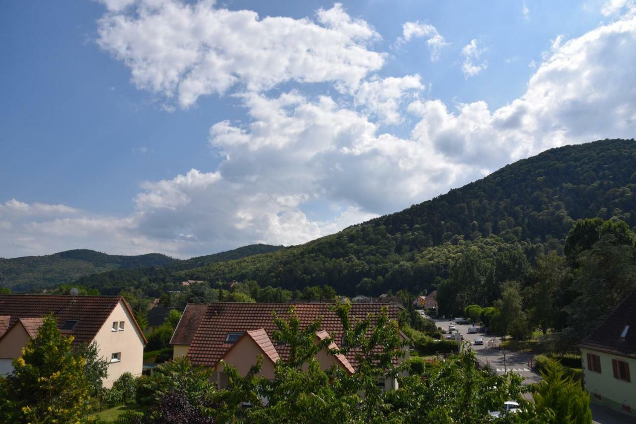 Le Cerisier Villa Kaysersberg-Vignoble Ngoại thất bức ảnh